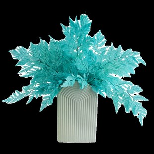 天然高山羊齿叶永生花干花婚礼装饰真树叶蕨叶花束摄影道具插花篮