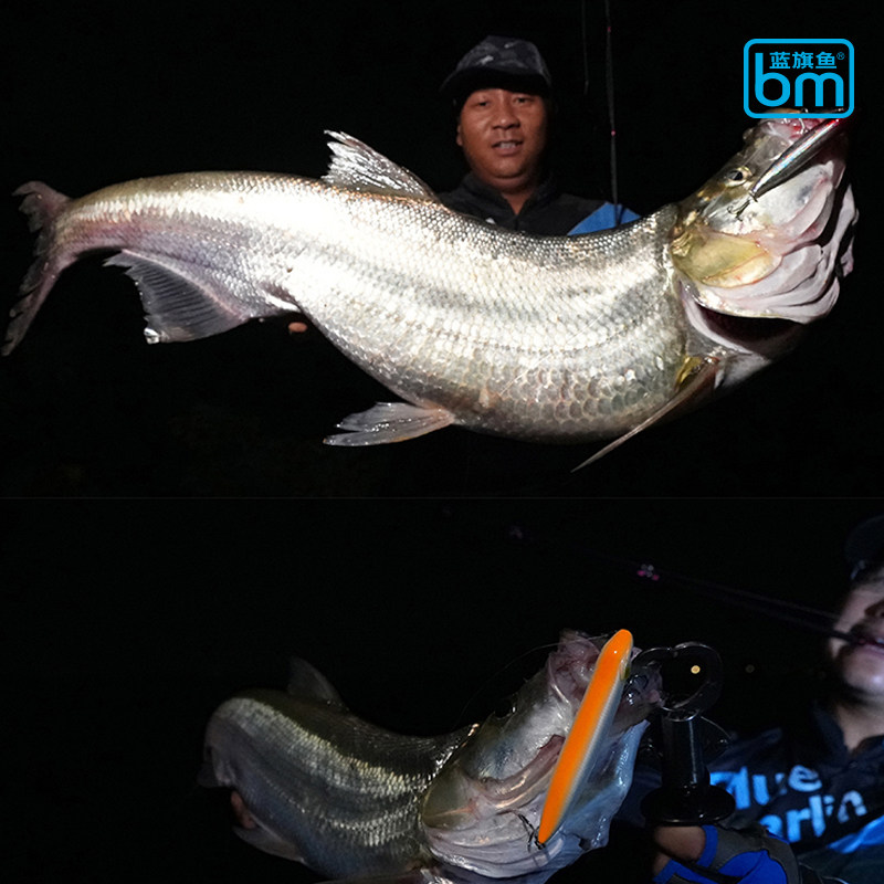 蓝旗鱼之字狗翻肚鱼水面铅笔浮水濒死鱼路亚饵远投翘嘴鳡鱼海鲈鱼,户外/登山/野营/旅行用品,路亚饵,淘宝优惠券,粉丝福利购,淘宝优惠卷