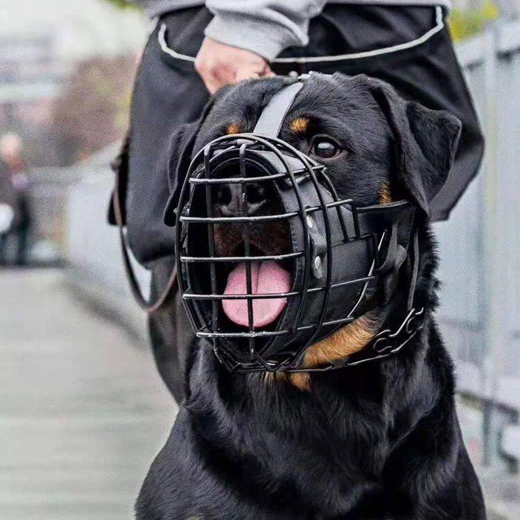 大型犬口笼马犬金毛德牧撞击嘴套罗威那训练狗嘴套嘴罩防咬实战