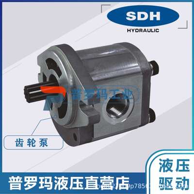 SDH齿轮泵液压泵油泵CBD2-F201.3 CBD2-F202.7 CBD2-F204.1现货