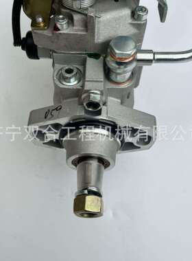 发动机燃油泵 VE柴油泵22100-1C190 22100-1C201 22100-1C240