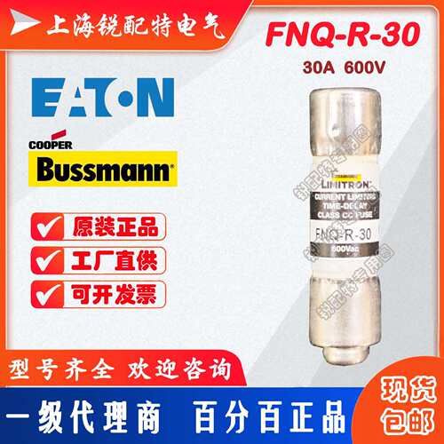 FNQ-R-30 延时保险丝 600V 30A 10X38 巴斯曼BUSSMANN熔断器