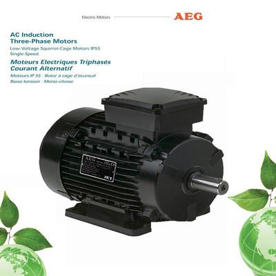 德国AEG电机马达AMHE 90L CA2
