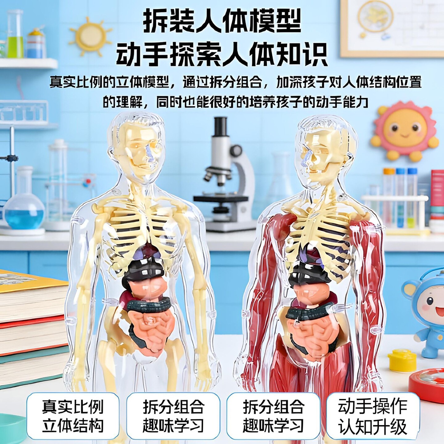 人体结构模型医学仿真儿童3D人体模型趣味教具提升科学探索能力亲