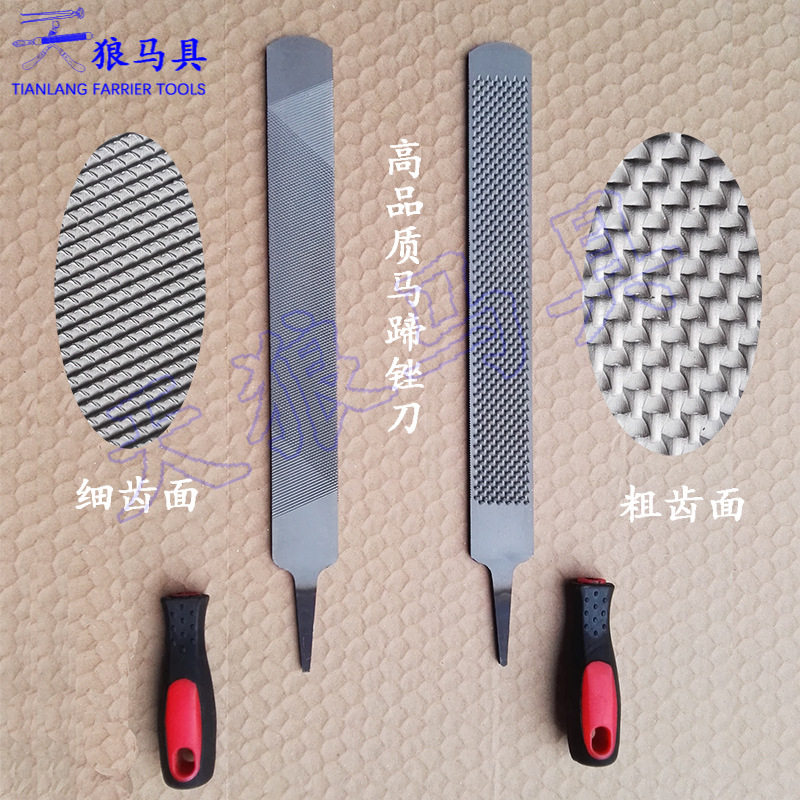工厂供应马蹄锉刀修蹄工具马房马术用品磨牛角 T12钢材质1把起批