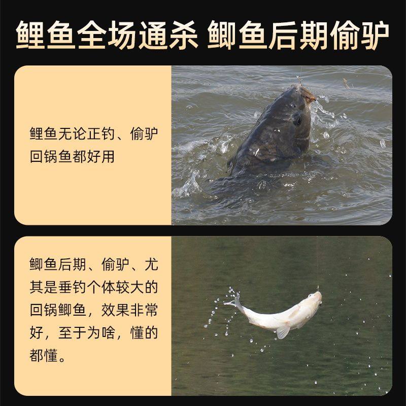 大黄沙鲤鱼饵料黑坑专用配方回锅鱼滑口鱼食黄面面钓鲫鱼饵小黄面,户外/登山/野营/旅行用品,活饵/谷麦饵等饵料,淘宝优惠券,粉丝福利购,淘宝优惠卷