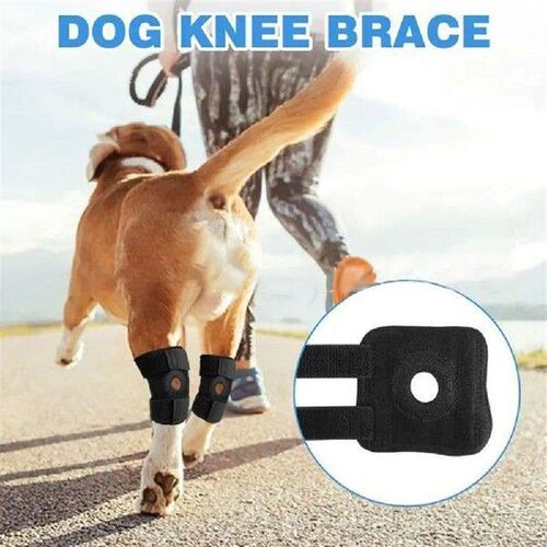 2pcs Soft Breathable Dog Knee Pads Pet Joint Protection