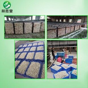 老蚕农推荐3孔塑框木质方格蔟孔15孔蚕网蚕具纸质方格蔟