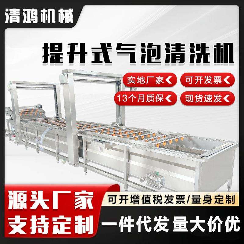 内槽提升式小龙虾气泡清洗机 田螺肉清洗设备 商用鲅鱼清洗解冻机
