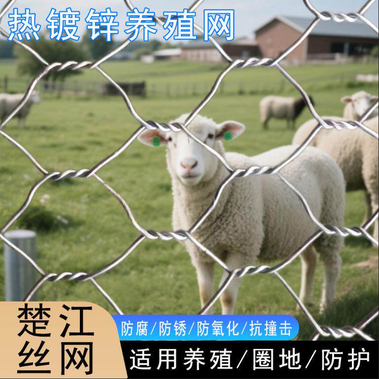 农场养殖铁丝网防护网围山圈地畜牧镀锌围栏网热镀锌六角网牛栏网