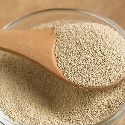 Instant Dry Yeast Sugar Tolerant 100g/300g/500g  Yeast Powde