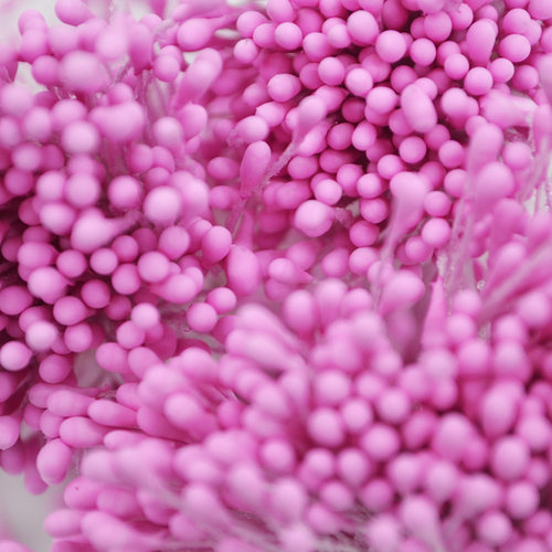 400/800/4000pcs 1.5mm Mini Pearl Flower Stamen Pistil Double