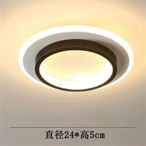 Modern LED lights dimmable ceiling lights bedroom kitchen