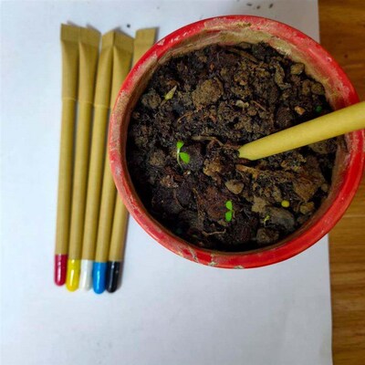 50 PCS Bamboo Plant Stick Plant Support Flower Stick Orchid