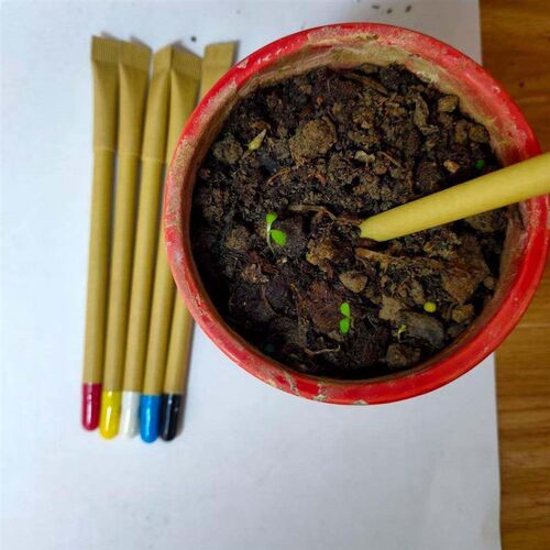50 PCS Bamboo Plant Stick Plant Support Flower Stick Orchid