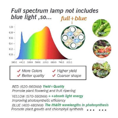 25W Plant Heat Mat with Round Seed Starter Tray Germination