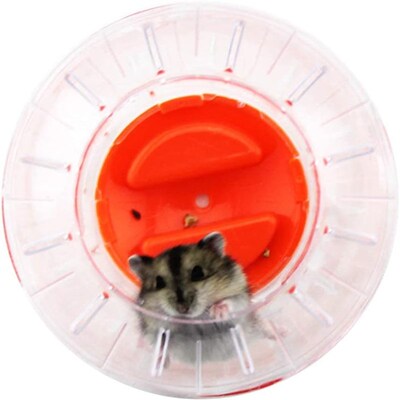 Hamster Running Ball Crystal Ball Silent Exercise Wheel toys