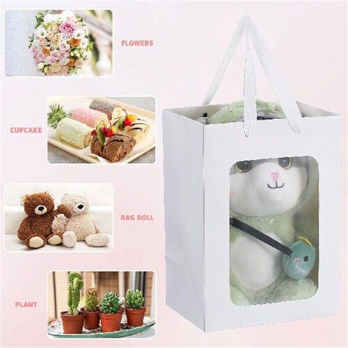 20 Pcs Open The Window Transparent Gift Bag Clear Bags Loot