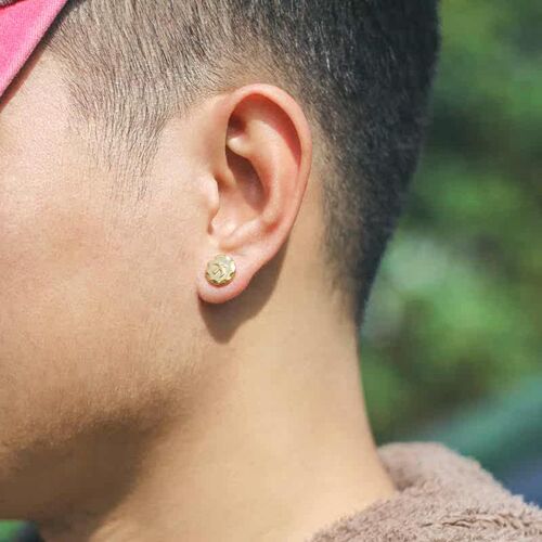 Fashion Nordic light luxury titanium steel round eagle earri