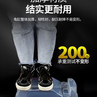 Turtle tank household feeding box ecological tank tortoise