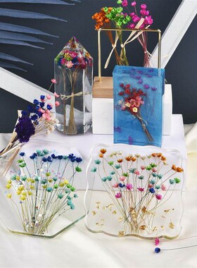30Pcs Dried Flowers UV Resin Filler Mini Brazil Star Chrysan