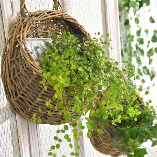 Wall Mounted Rattan Basket Hanging Planter Basket Handmade