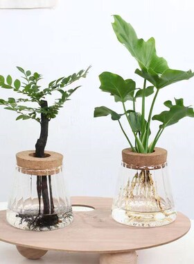 High-value New Hammer Volcano Vase Glass Hydroponic Plant Bo