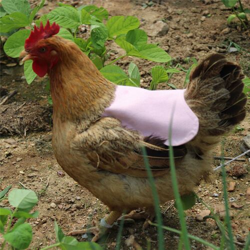 Hen Chicken Saddle Apron Feather Back Protector Single Strap