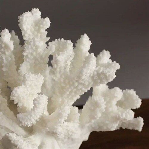 Coral Statue Resin Sculpture Home Decor Living Room Bedroom