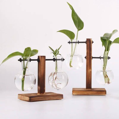 Hydroponic Plant Terrarium Vasevase Decoration Home Glass Bo