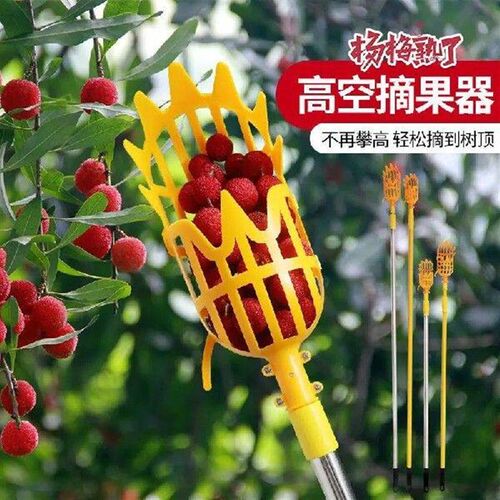 High altitude fruit picking tool, divine tool, loquat, fig,