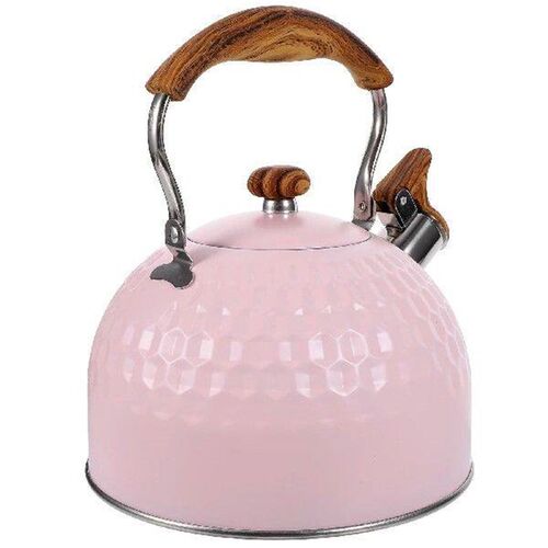 Stainless Steel Kettle for Induction Hob Practical Cooker