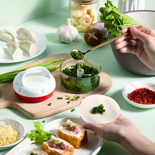 Manual garlic rammer ginger garlic purer feeder Mini press g