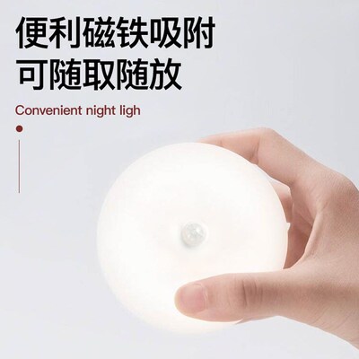 table lamp bedroom bedside lamp small night light 小夜灯