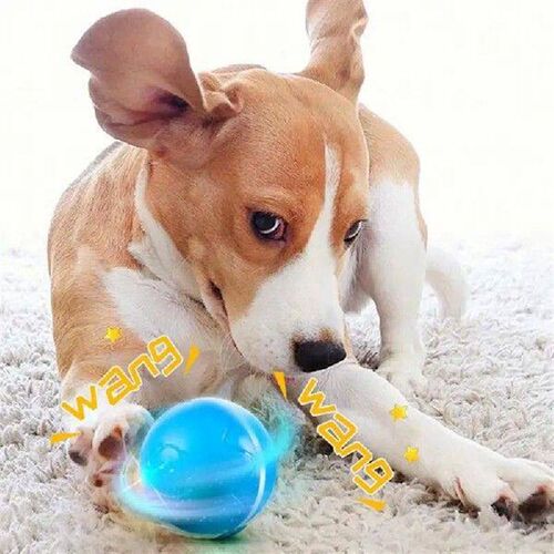 Interactive Dog Toys Dog Ball Bite Resistant Dog Toy Balls