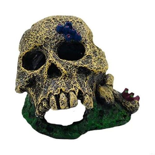 MXLA Durability Resins Skull Ornaments Unique Aquascapes