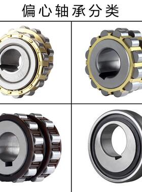 摆线针轮减速机整体偏心轴承RN307摇摆RN205206309312圆柱滚子