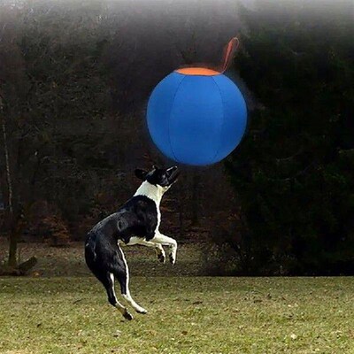 Interactively Dogs Outdoor Inflatable Ball Toy Molar