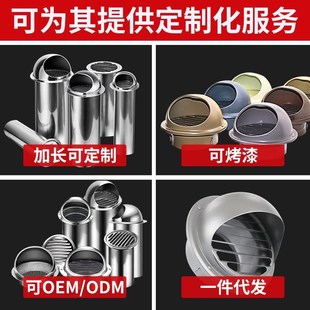 防鸟封口防蚊虫卫生间口盖烟道换气孔罩子出气管30不锈钢风帽
