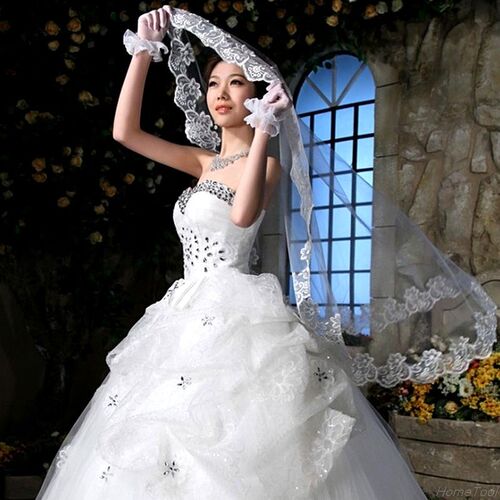 Elegant 1 Layer White/Ivory Tulle Elbow Lace Edge Bride Brid