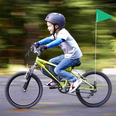 Adult Tricycle Reflective Flagpole with Exercise Bike for