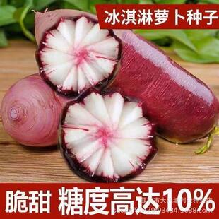 Ice cream fruits, radish seeds, purple skin ice cream fruit