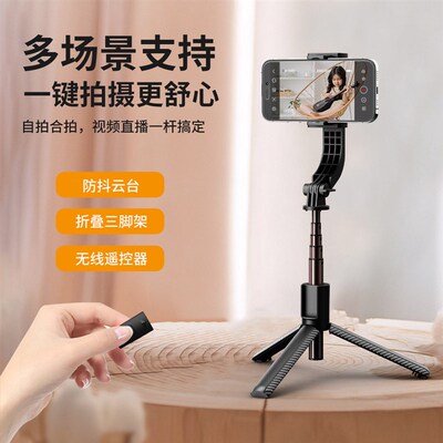 C06h Silizer Pole Panoramic Follow Shot Anti-shake Pole Hand