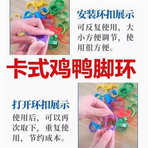Chicken leg ring snap-type identification rings for poultry,