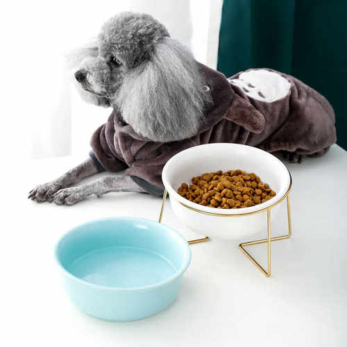 Cat Bowl Slanted Mouth Tilting Ceramic Pet Bowl Cat Food Bow