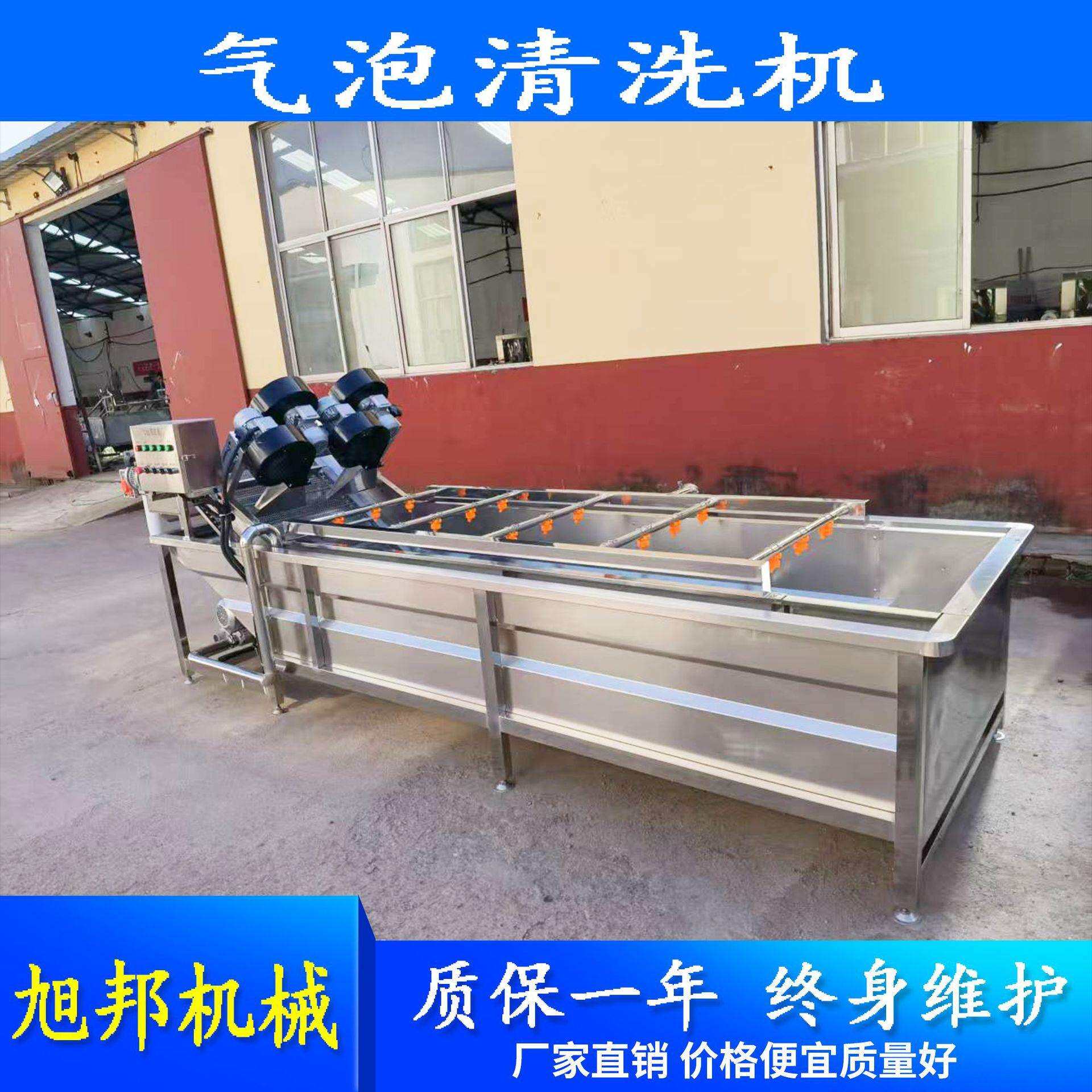 多功能果蔬气泡清洗机 自动翻滚冲洗净菜机 榆钱子气浴式清洗设备