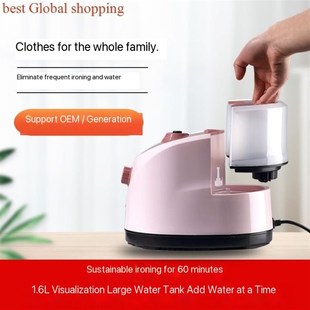 electric compact iron steam soleplate clothes steamer 熨斗