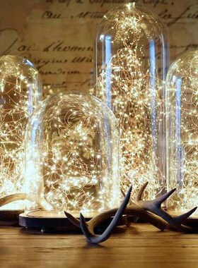 1M 2M 3M 5M 10M Copper Wire LED String Lights Christmas