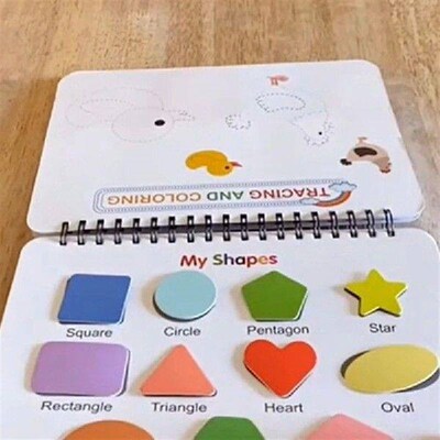 Educational ters For Classroom & Kindergarten,