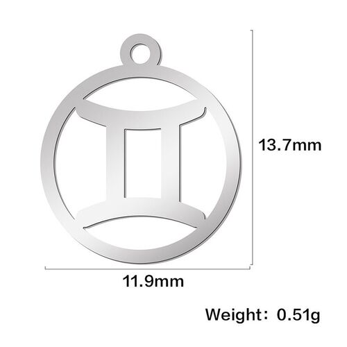 Teamer 12pcs Zodiac Floating Charms Stainless Steel Gemini A